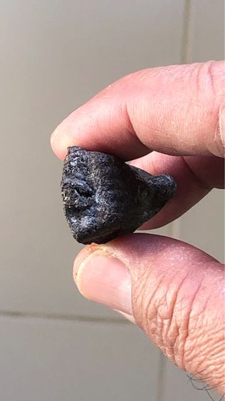 พระหลวงปู่ทวดเนื้อว่าน วัดช้างให้ พิมพ์ชะลูด รูปที่ 5