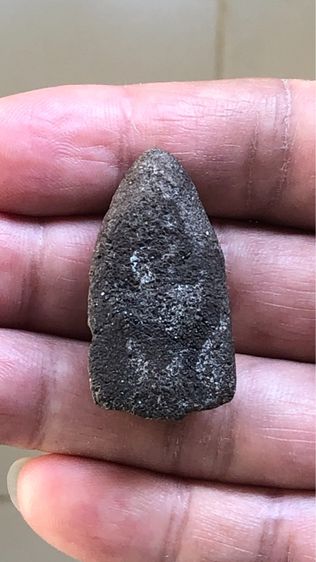 พระหลวงปู่ทวดเนื้อว่าน วัดช้างให้ พิมพ์ชะลูด รูปที่ 2