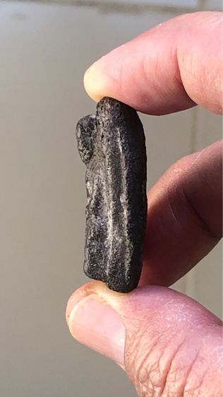 พระหลวงปู่ทวดเนื้อว่าน วัดช้างให้ พิมพ์ชะลูด รูปที่ 3