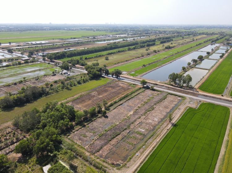 ที่ดินคลอง 5 ใกล้มอเตอร์เวย์แบ่งขาย รูปที่ 2