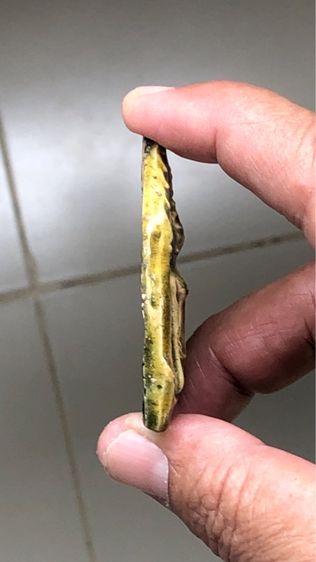 พระขุนแผนเคลือบกรุวัดใหญ่ชัยมงคล รูปที่ 4