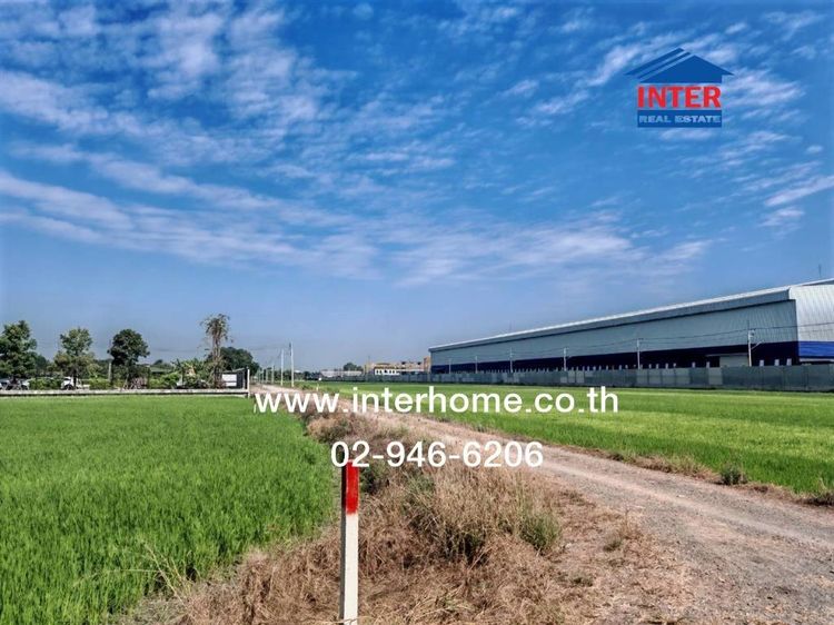 ที่ดินเปล่า 5 ไร่ ที่ดิน ใกล้กับโรงงานแสนสิริ ถนนองค์การบริหารส่วนจังหวัดปทุมธานี2006 ถนนลำลูกกา ลำลูกกา ปทุมธานี รูปที่ 3