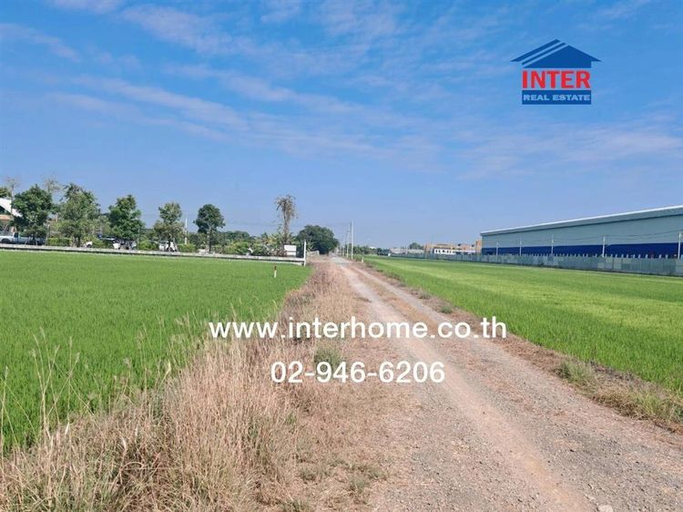 ที่ดินเปล่า 5 ไร่ ที่ดิน ใกล้กับโรงงานแสนสิริ ถนนองค์การบริหารส่วนจังหวัดปทุมธานี2006 ถนนลำลูกกา ลำลูกกา ปทุมธานี รูปที่ 4