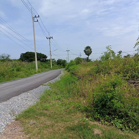 ที่ดินสวย 7 ไร่ ซอยวัดน้อยเจริญสุข ลำพญา นครชัยศรี