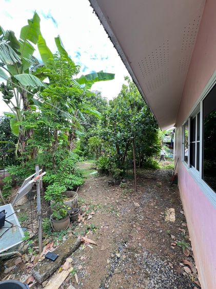 บ้านสวนทำเลดีติดถนน ค้าขายได้ คลอง 11 รูปที่ 4