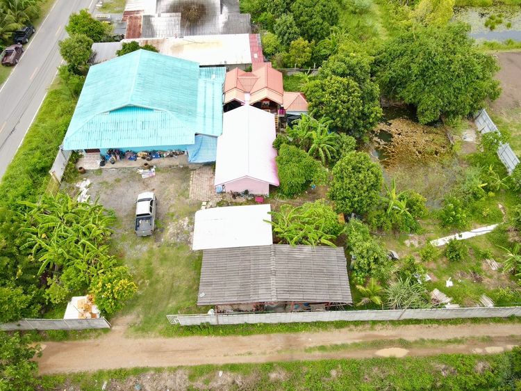 บ้านสวนทำเลดีติดถนน ค้าขายได้ คลอง 11 รูปที่ 2