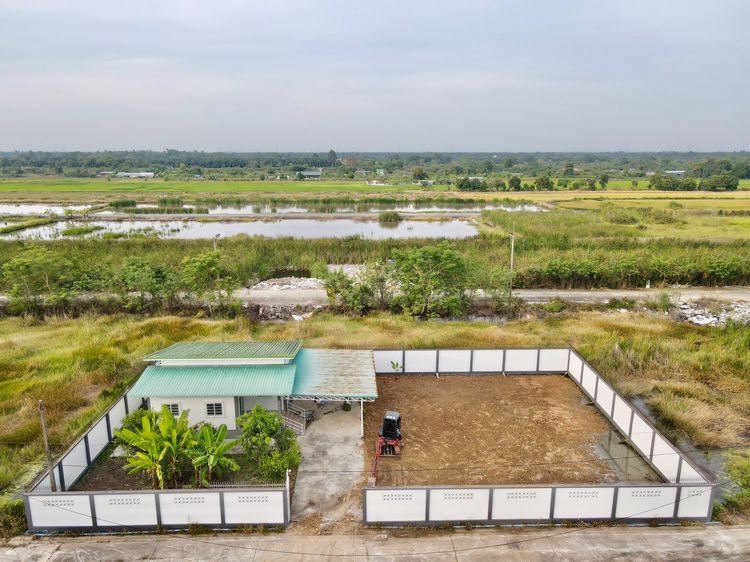 มีบางส่วน บ้านสวนคลอง 11 เนื้อที่ 200 ตารางวา รูปที่ 2