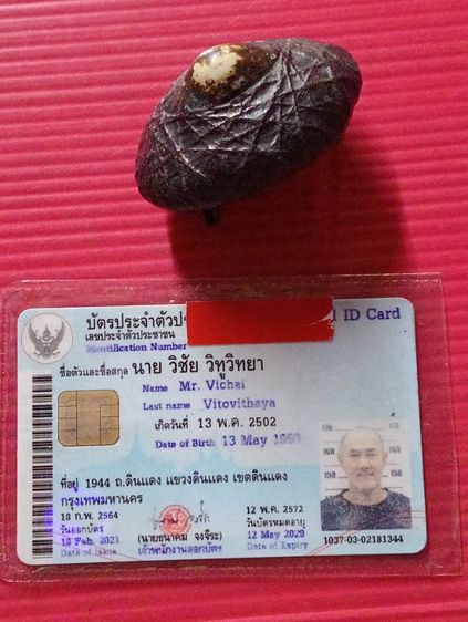 เบี้ยแก้เก่ามาก รูปที่ 12