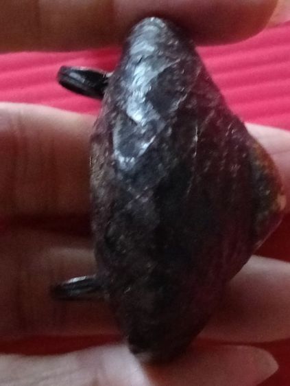 เบี้ยแก้เก่ามาก รูปที่ 6