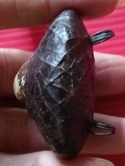 เบี้ยแก้เก่ามาก รูปที่ 5