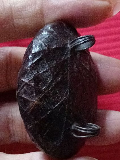 เบี้ยแก้เก่ามาก รูปที่ 8