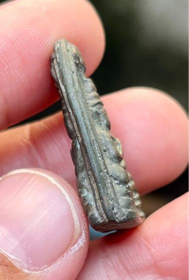 พระปางซ่อนหา วัดอนงค์ รูปที่ 5