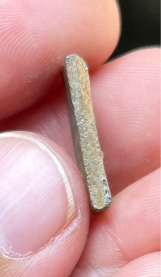 เหรียญหลวงปู่ศุข รูปที่ 3