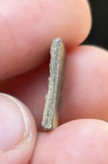 เหรียญหลวงปู่ศุข รูปที่ 5