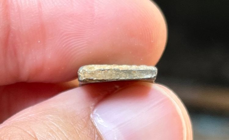 เหรียญหลวงปู่ศุข รูปที่ 4