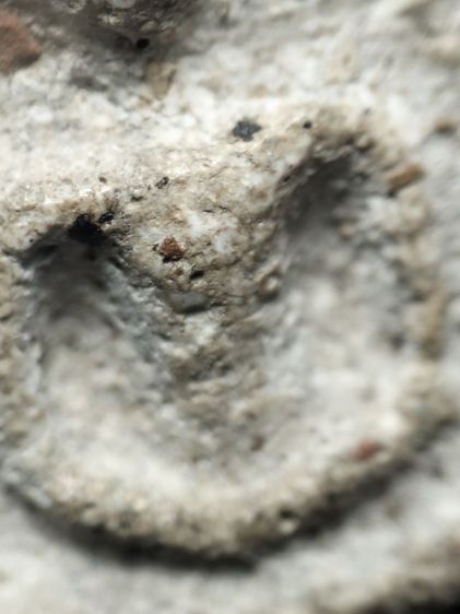 พระสมเด็จครับ รูปที่ 11