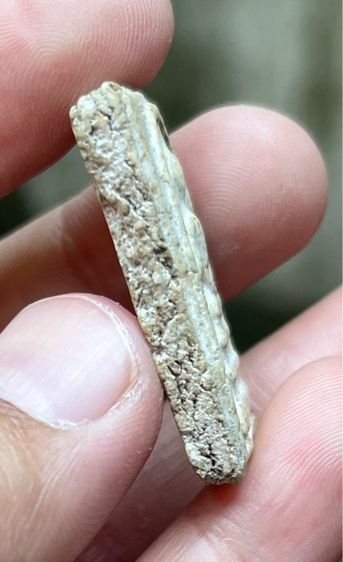 พระสมเด็จ เก่าเก็บ รูปที่ 3