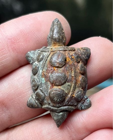 เต่าเรือนหลวงพ่อเดิม