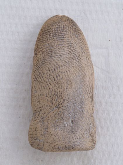 พระรอดเนื้อดิน 24106809 รูปที่ 2