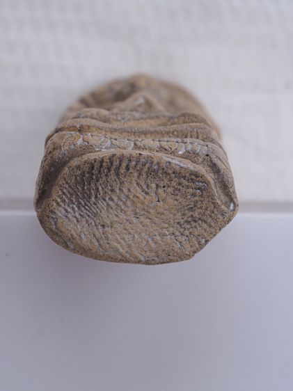 พระรอดเนื้อดิน 24106809 รูปที่ 3