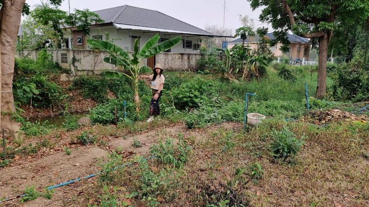 ไม่ใช่ ที่ดินติดถนนใหญ่ เพื่อสร้างบ้าน เมืองลำปาง รูปที่ 2