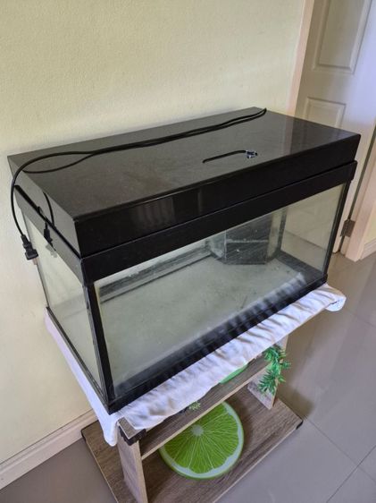 ตู้ปลามาตรฐาน 24x12x12 รูปที่ 5