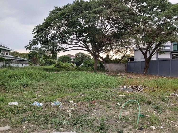 ให้เช่าที่ดินเปล่า 310 ตร.ว. ซอยเพชรเกษม64 แขวงบางแคเหนือ เขตภาษีเจริญ กทม.call 0846383845