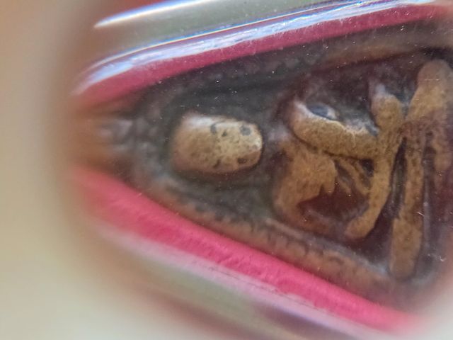 เหรียญจอบใหญ่หลวงพ่อเงิน วัดบางคลาน จ.พิจิตร รูปที่ 14