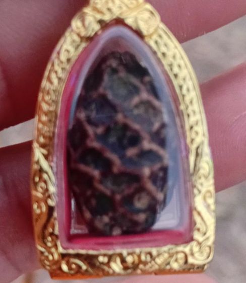 หมากทุยหลวงปู่เอี่ยม วัดหนัง จ.กทม รูปที่ 10