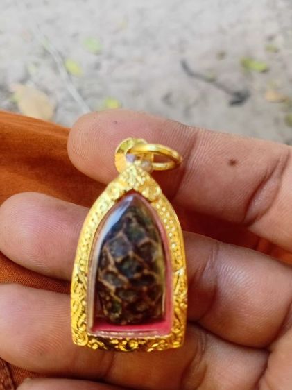 หมากทุยหลวงปู่เอี่ยม วัดหนัง จ.กทม รูปที่ 16