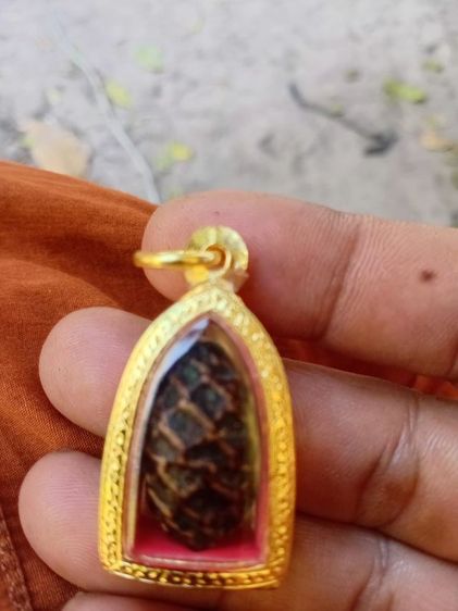 หมากทุยหลวงปู่เอี่ยม วัดหนัง จ.กทม รูปที่ 8