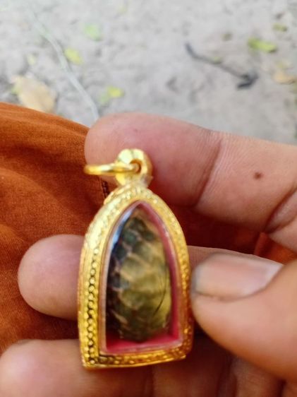 หมากทุยหลวงปู่เอี่ยม วัดหนัง จ.กทม รูปที่ 14