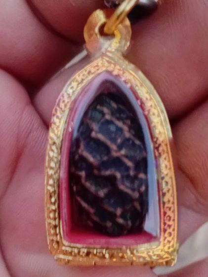 หมากทุยหลวงปู่เอี่ยม วัดหนัง จ.กทม รูปที่ 3