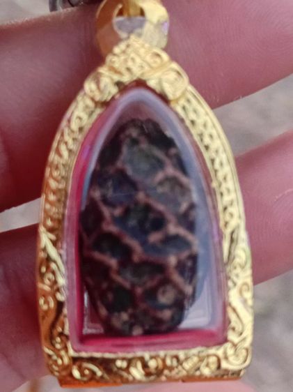 หมากทุยหลวงปู่เอี่ยม วัดหนัง จ.กทม รูปที่ 4