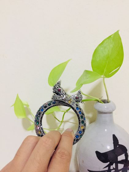 กำไรพญานาค รูปที่ 4