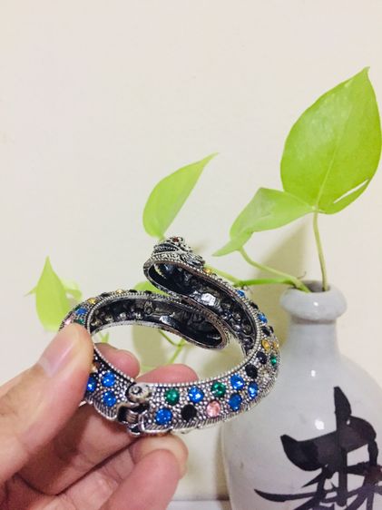 กำไรพญานาค รูปที่ 6