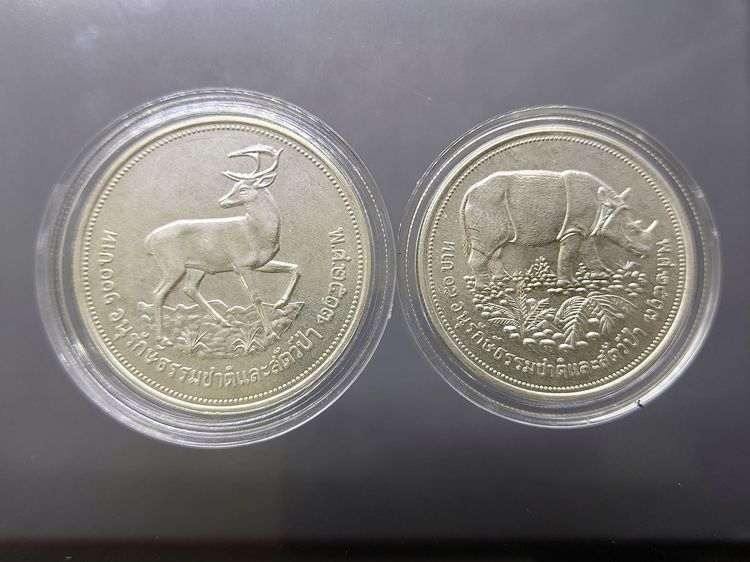 เหรียญเงิน 50-100 บาท ชุดส่งเสริมการอนุรักษ์ธรรมชาติและสัตว์ป่า ละมั่ง กระซู่ พ.ศ.2517 รูปที่ 5
