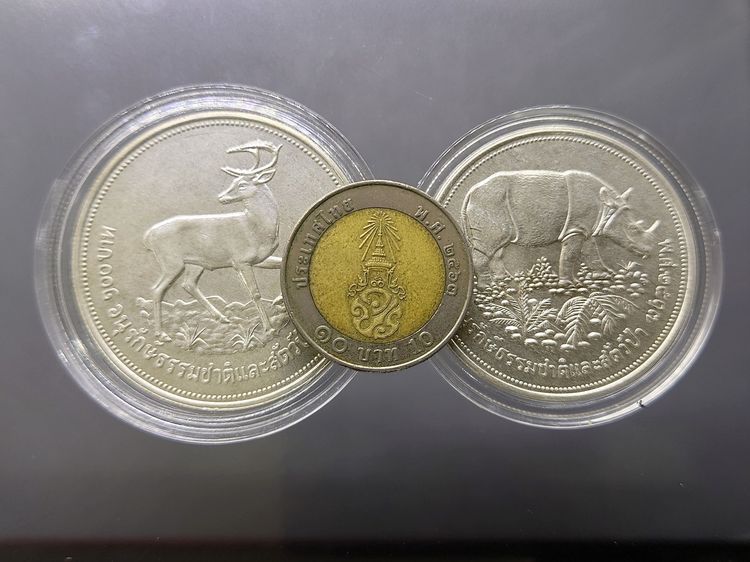 เหรียญเงิน 50-100 บาท ชุดส่งเสริมการอนุรักษ์ธรรมชาติและสัตว์ป่า ละมั่ง กระซู่ พ.ศ.2517 รูปที่ 4