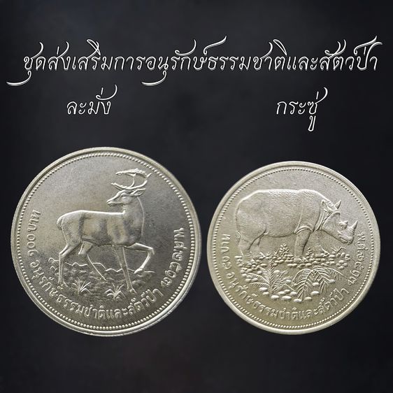 เหรียญไทย เหรียญเงิน 50-100 บาท ชุดส่งเสริมการอนุรักษ์ธรรมชาติและสัตว์ป่า ละมั่ง กระซู่ พ.ศ.2517