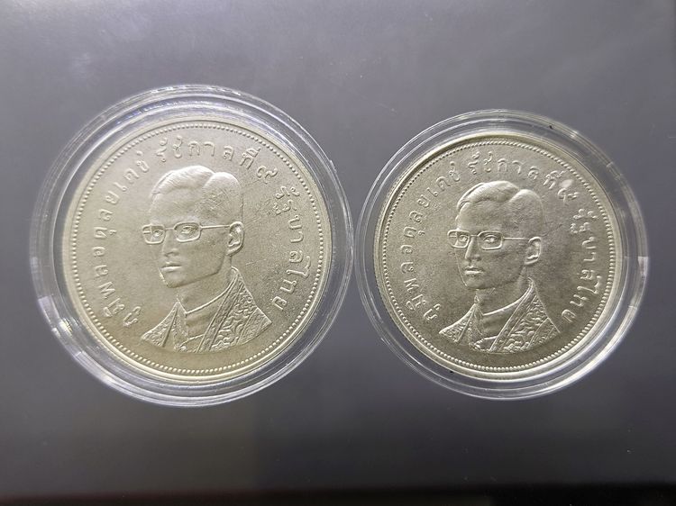 เหรียญเงิน 50-100 บาท ชุดส่งเสริมการอนุรักษ์ธรรมชาติและสัตว์ป่า ละมั่ง กระซู่ พ.ศ.2517 รูปที่ 6