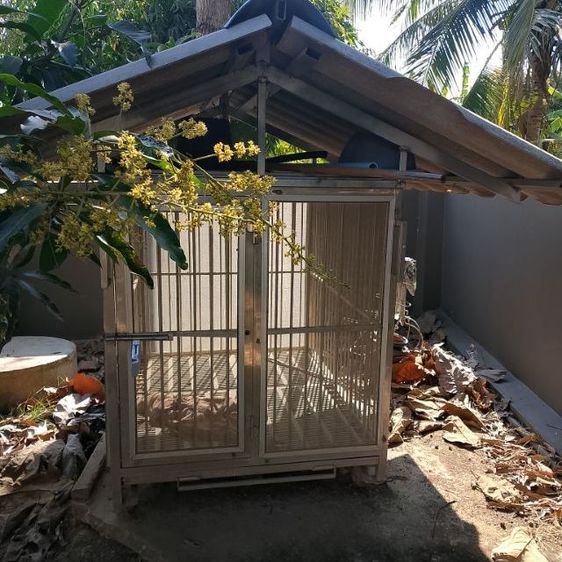 กรงสุนัก รูปที่ 2