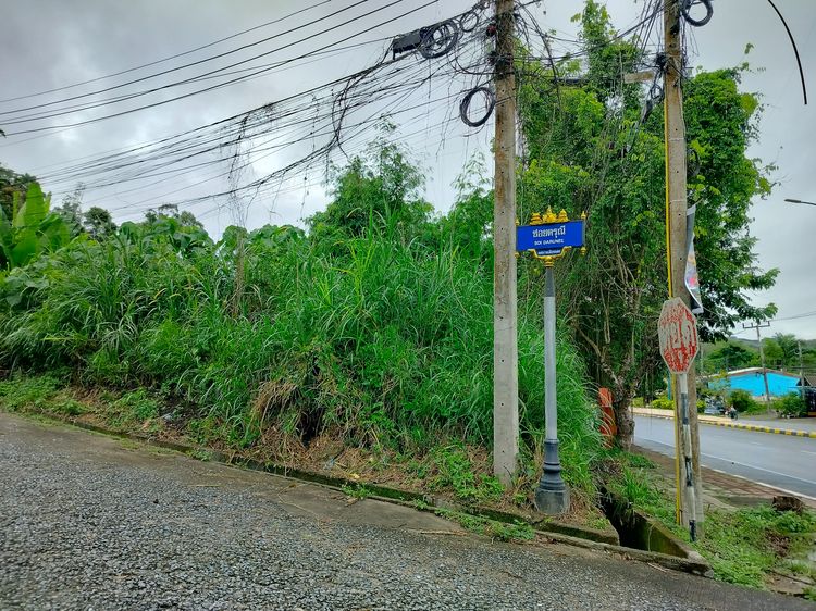 บ้าน รูปที่ 2