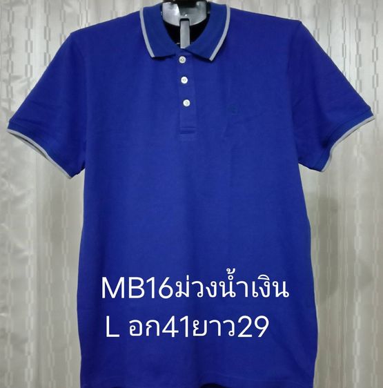 SPRINGFIELD LACOSTE, NIKE VC  เคลียร์สต็อก เสื้อคอปกมือ 1 ราคาตัวละ 180 บาท รวมส่ง มีเก็บปลายทาง รูปที่ 3