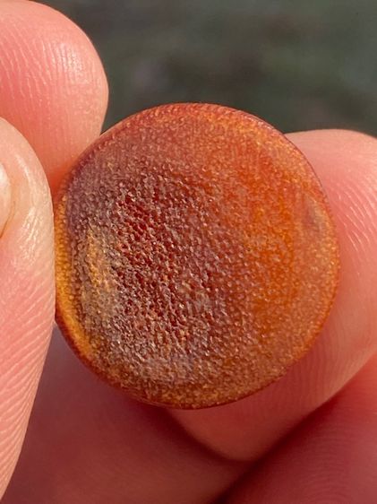 เครื่องรางนอน้ำผึ้ง รูปที่ 3