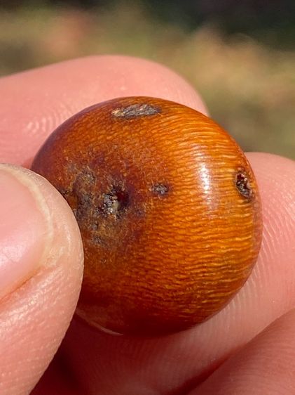 เครื่องรางนอน้ำผึ้ง รูปที่ 5