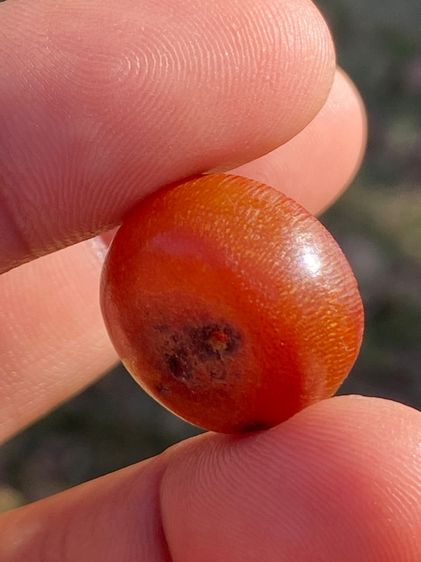 เครื่องรางนอน้ำผึ้ง รูปที่ 6