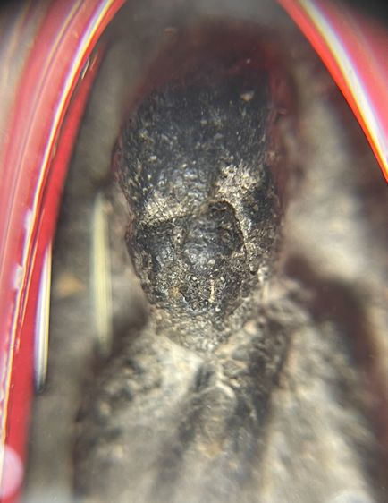 หลวงปู่ทวด วัดช้างให้ รุ่นแรก เนื้อว่าน พิมพ์กลางชลูด ปี 2497 พร้อมตลัดทองมือ 1และบัตรรับรองพระแท้สถาบันวัตถุมงคลประเทศไทย รูปที่ 7