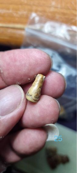 เสือพ่อปาน รูปที่ 3