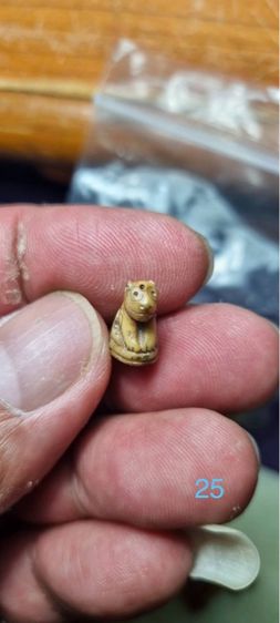 เสือพ่อปาน รูปที่ 2