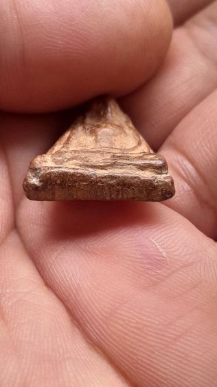 พระผงสุพรรณหน้าหนุ่ม รูปที่ 3